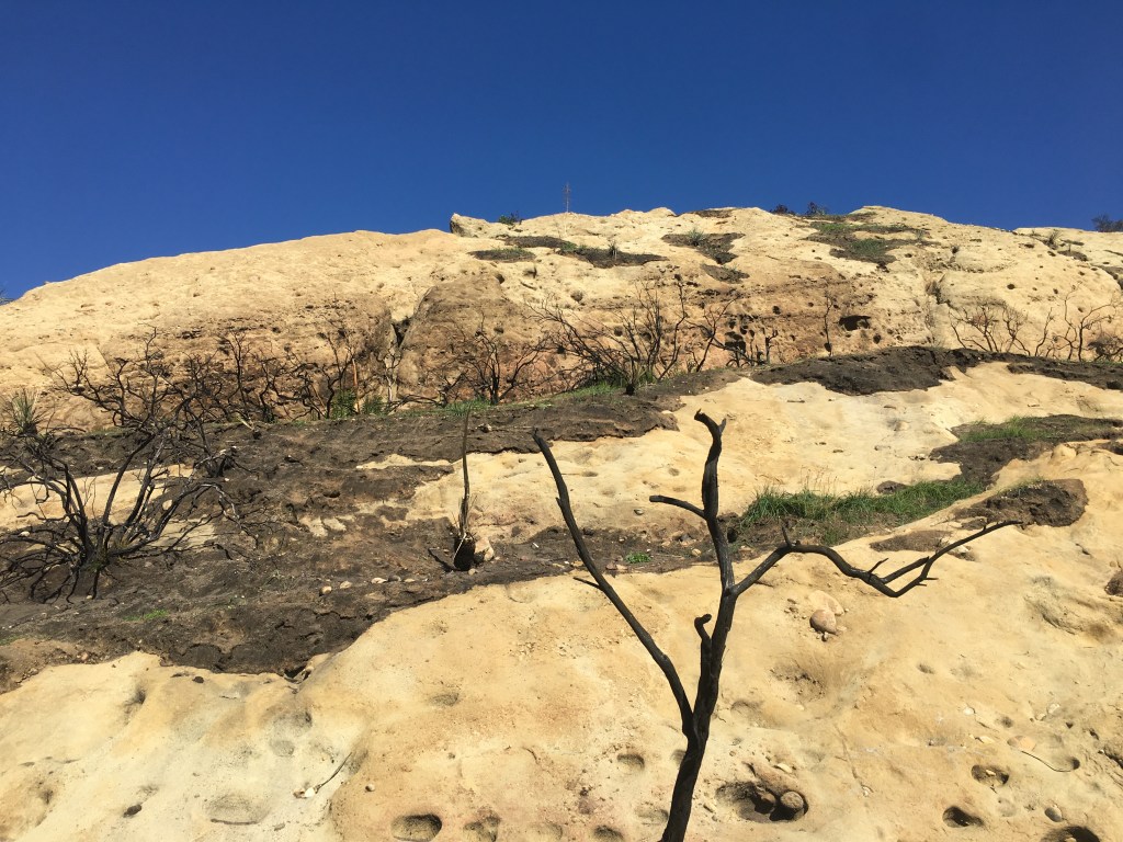 Topanga Canyon Santa Ynez Trail